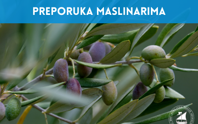Preporuka maslinarima